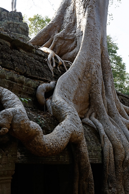 Ta Phrom et environs-117